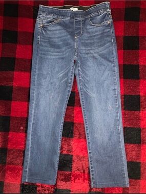 Craft & Barrow Size 8P Jeggings